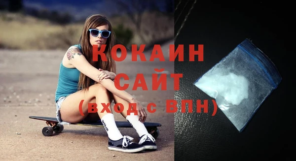шишки Беломорск