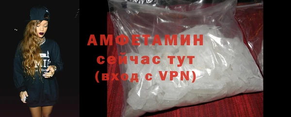 шишки Беломорск