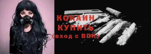 шишки Беломорск