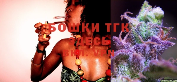 шишки Беломорск