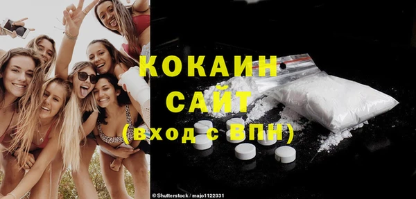 шишки Беломорск