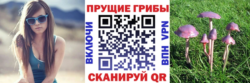 Псилоцибиновые грибы мицелий  что такое   Выкса 