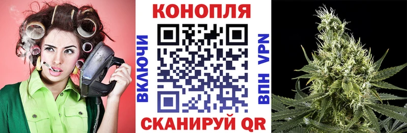 omg ССЫЛКА  Выкса  Бошки Шишки AK-47 